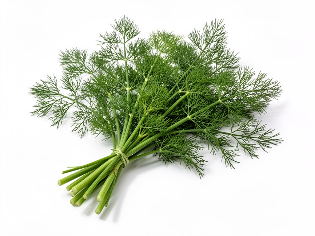 bouquet d'aneth