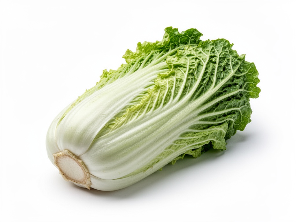 chou vert frisé