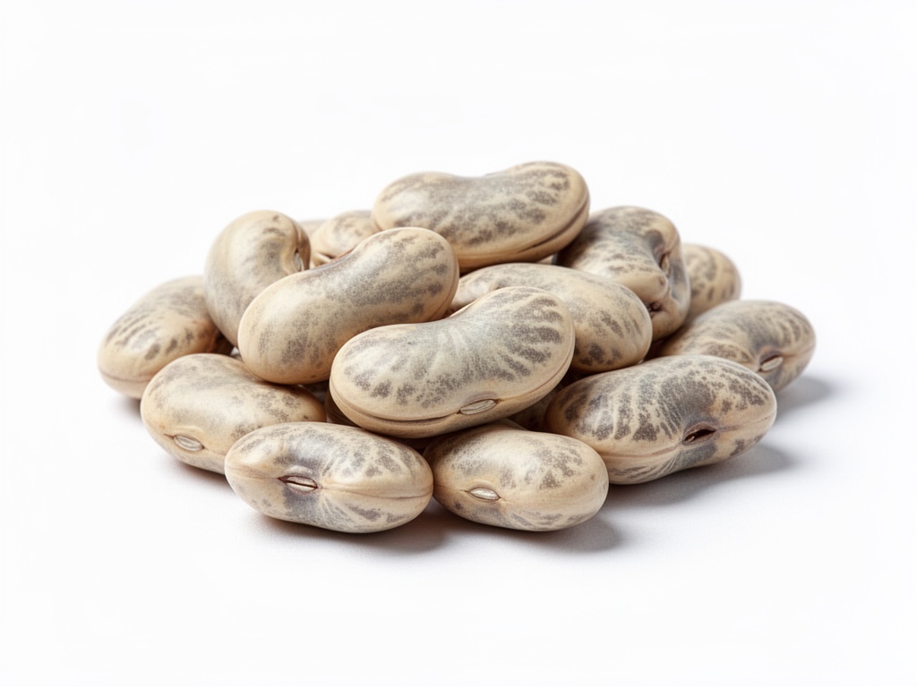 haricot coco de paimpol