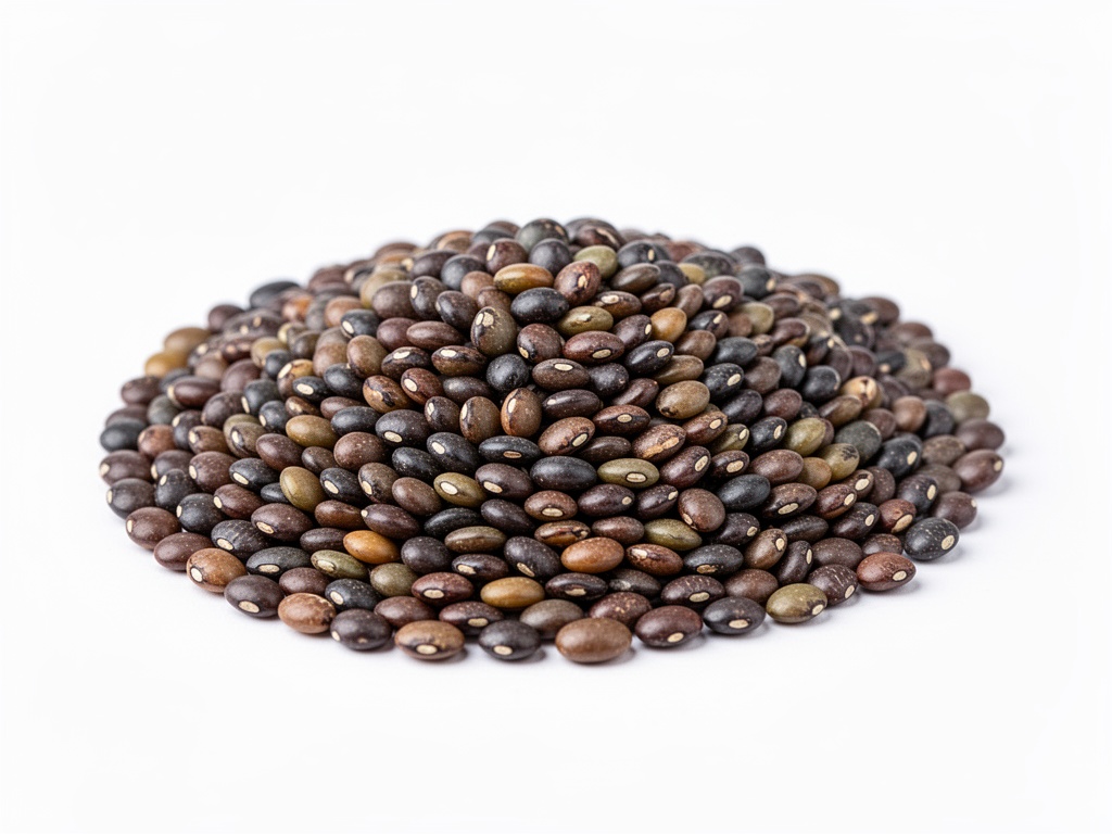 lentille noire urad dal