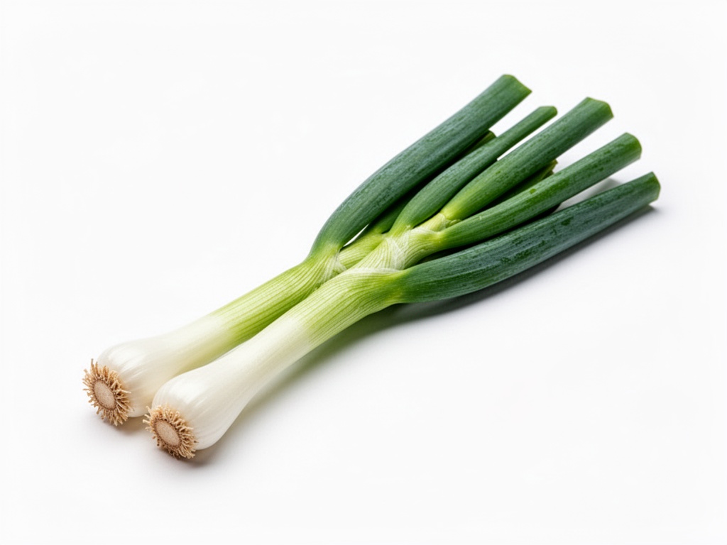 oignon vert