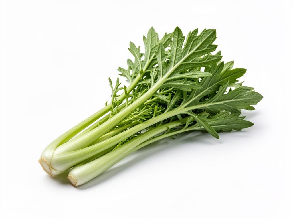 roquette fraîche